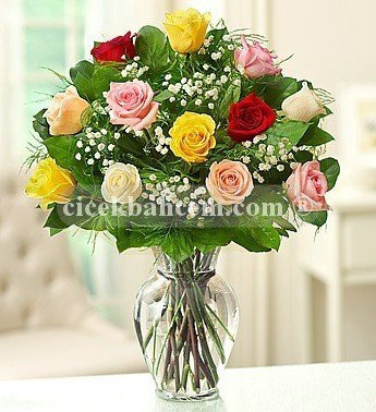 Gül Zarafet - Birinci Sınıf 13 Adet Renkli Güller GL205