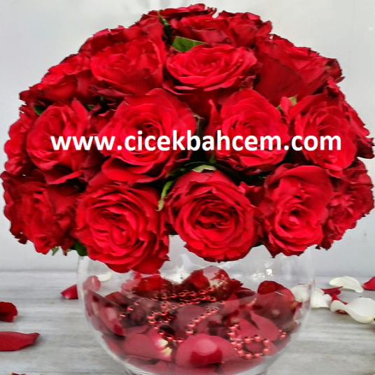 Masa Üstü SEVGİ Işığı Güllerin Güzel LAMBASI