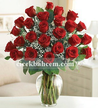 Elegant 27 Kırmızı Gül
