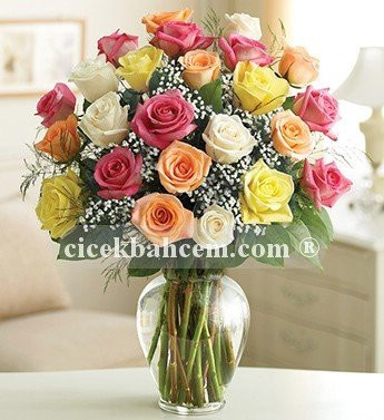 İki Düzine Premium Renkli Güller