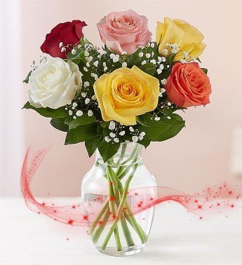 "Aşk Tesadüfleri Sever" 6 Renkli Gül