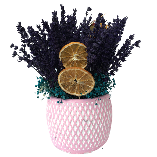 Özel Saksıda Dağ Lavantası