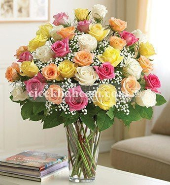 Aşk - 4 Düzine (48) Renkli Gül