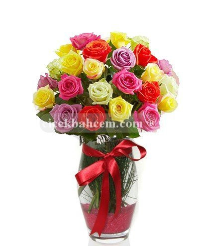 Aşkım - İki Düzine Renkli Güller