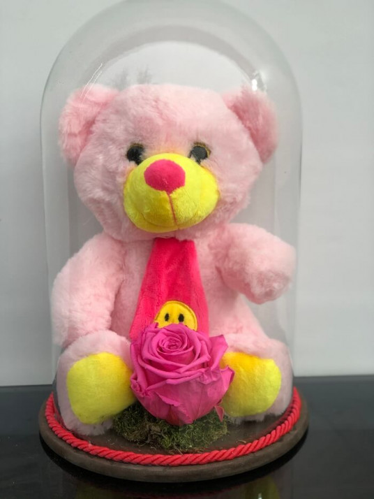 Solmayan Pembe Gül ve Pembe Pelüş Ayı