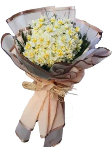 Kışın Kar Çiçek Sürprizleri ® NER101