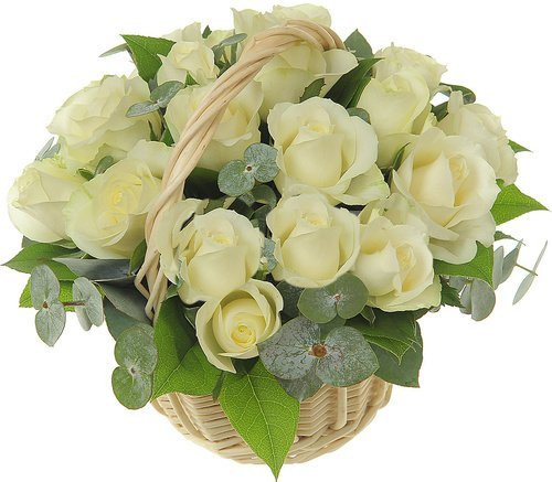 19 Adet Gül''Kar Beyaz Prenses