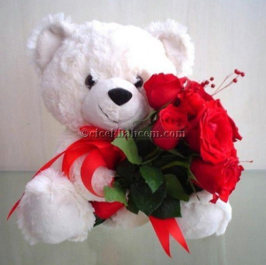 9 Adet Kırmizı Gullü Oyuncak Ayi