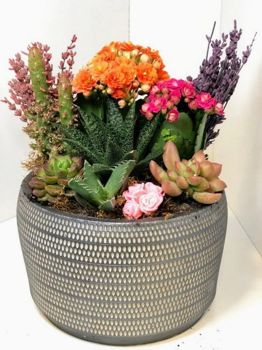 Berberis Thunbergii Maria Özel Tasatım