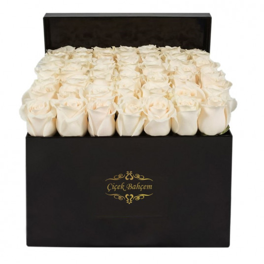 Siyah Kutuda 49 Adet Beyaz Gül