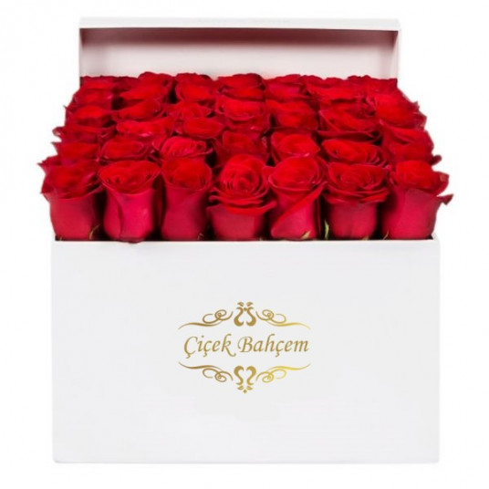Beyaz Kare Kutuda 49 Kırmızı Gül