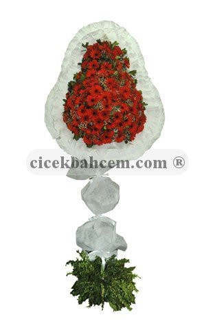 Kırmızı Düğün, Nikah, Nişan, Açılış Çiçekleri Gönder