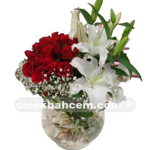 Sevgiliye Özel Kırmızı Gül, Lilyum
