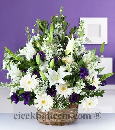 Beyaz Gerbera, Glayor ve Mor Lisyantus Aranjmanı 