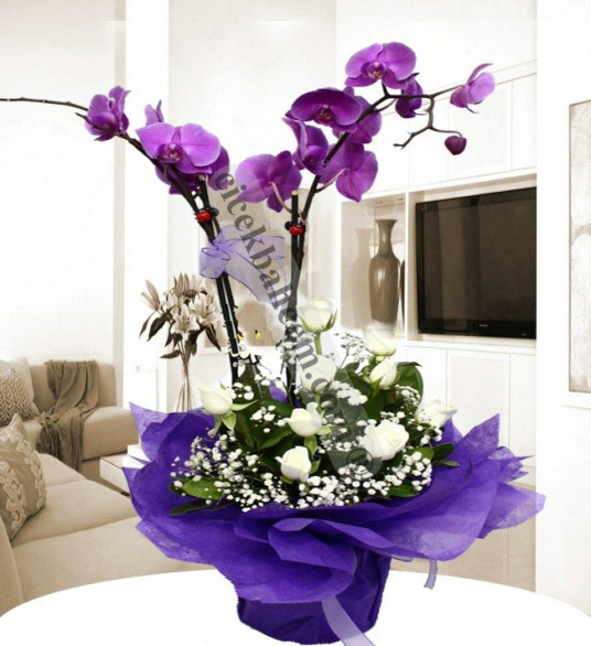 Beyaz Gül ve mor Orkide