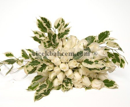 Beyaz Güllerden Sarkmalı Olarak Yapılmış Gelin Buketi