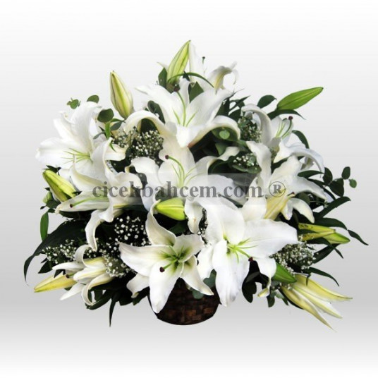 Sepet'de Beyaz Lilyum Aranjmanı