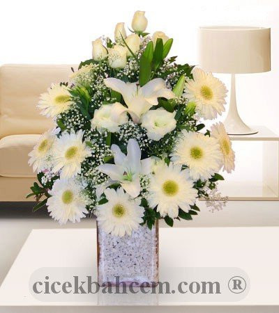 Beyaz Lilyum, Beyaz Gül ve Beyaz Gerbera Aranjmanı