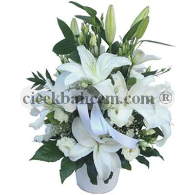 Beyaz Lilyum, Beyaz Lisyantus Aranjmanı