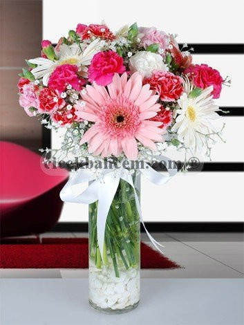 Beyaz, Pembe Gerbera ve Renkli Karanfil Aranjmanı