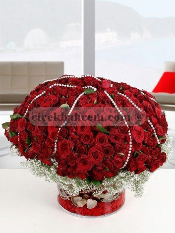 Büyük Boy Cam Vazo İçerisine Hazılanmış 500 Kırmızı Gül Aranjmanı 