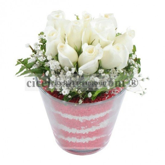 Cam Kase İçerisine Cipso Çiçekleri ile 11 Adet Beyaz Gül Tasarımı