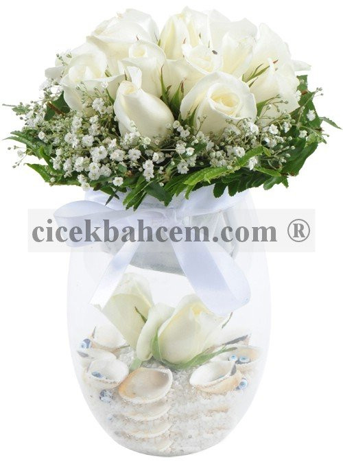 Cam Vazoda 13 Adet Beyaz Gül Deniz Kabukları Tasarımı (