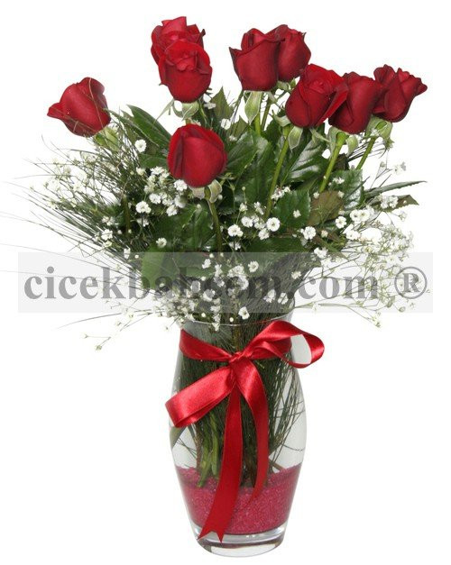 Cam Vazoda Kaliteli 9 Adet Kırmızı Gül Aranjmanı