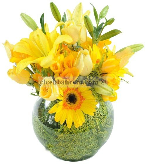 Cam Fanus İçine 5 Sarı Gül,Gerbera ve Lilyum Aranjmanı 
