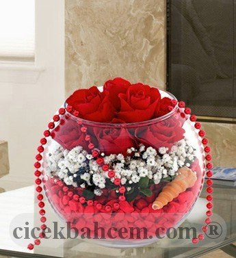 Cam Fanus İçerisine 7 Kırmızı Gül