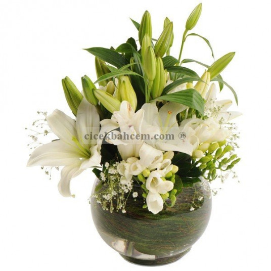 Cam Funs İçine Beyaz Lilyum ve Firezya Çiçekleri 