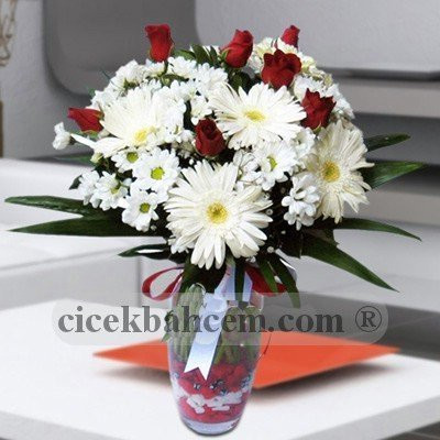 Beyaz Gerbera ve Kırizantem 5 Adet Kırmızı Gül SA496