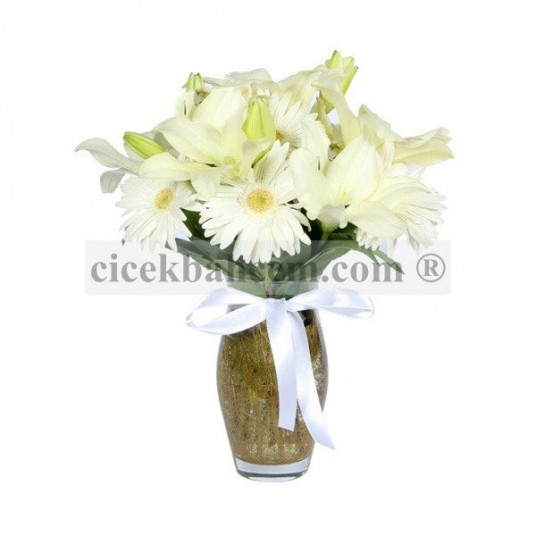 Sensiz Olmaz, Beyaz Gerbera ve Lilyum