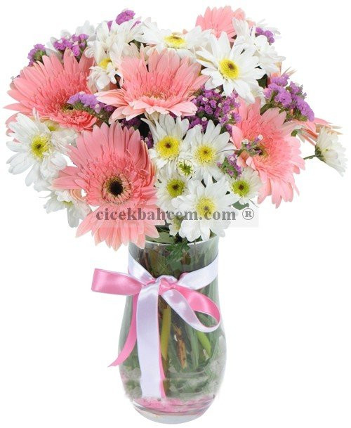 Cam Vazoda Pembe Gerbera ve Kırizantem Çiçek Tasarımı