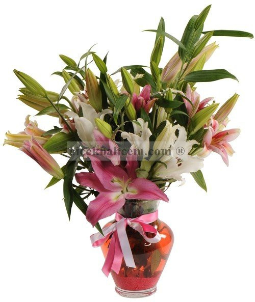 Cam Vazonun İçine Değişik Renklerde Lilyumlardan Aranjman
