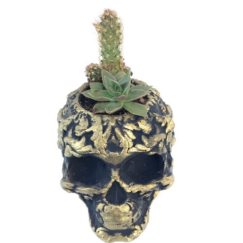 Custom Dried Flower Arrangement