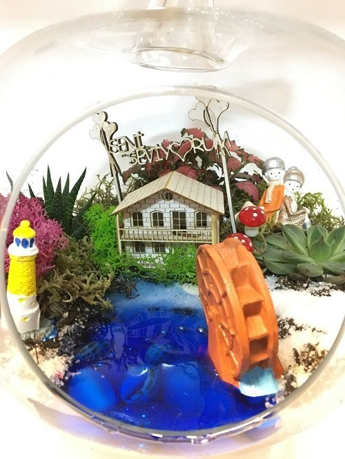 Dag Evimiz - Teraryum TER123