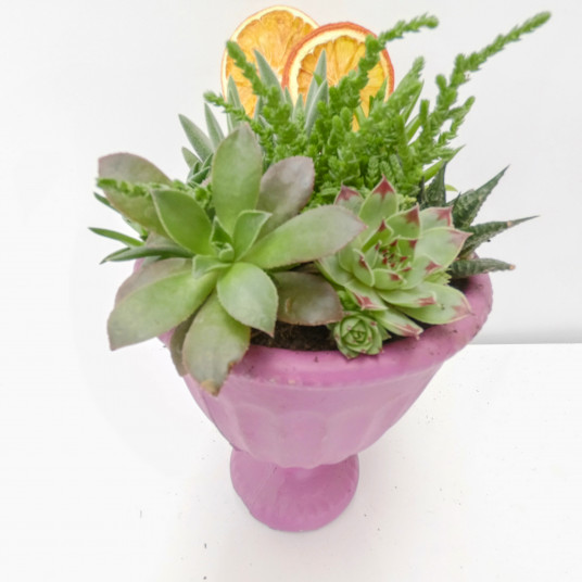 Sukulent Diyarı Teraryum Aranjmanı