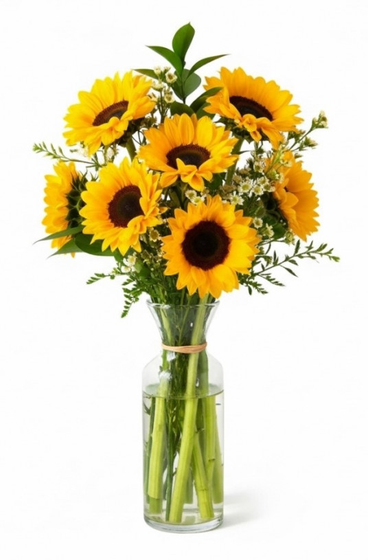 Ay Çiçeği Helianthus Günebakan Çiçeği