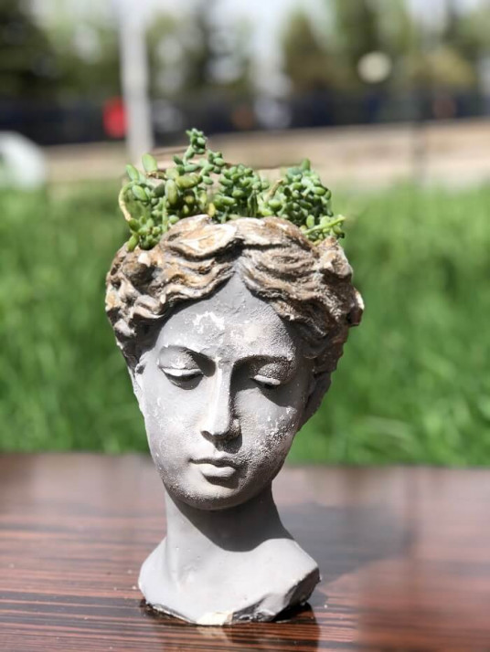 Gri Büyük Helen Obje İçinde Kaktüs