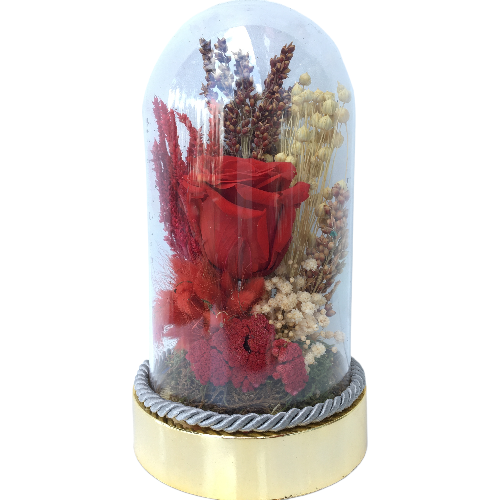 Aşksın Sen Solmayan Gül