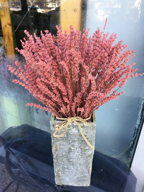 Kokulu Pembe Kuru Lavanta Kare Taş Vazoda