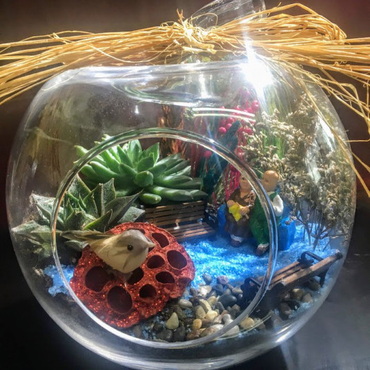 Daima Seninle Terrarium