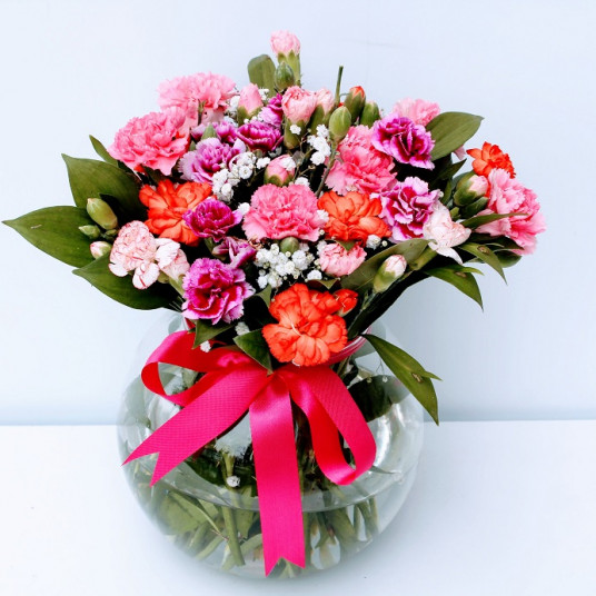 Ada Karanfili Renk Çümbüşü