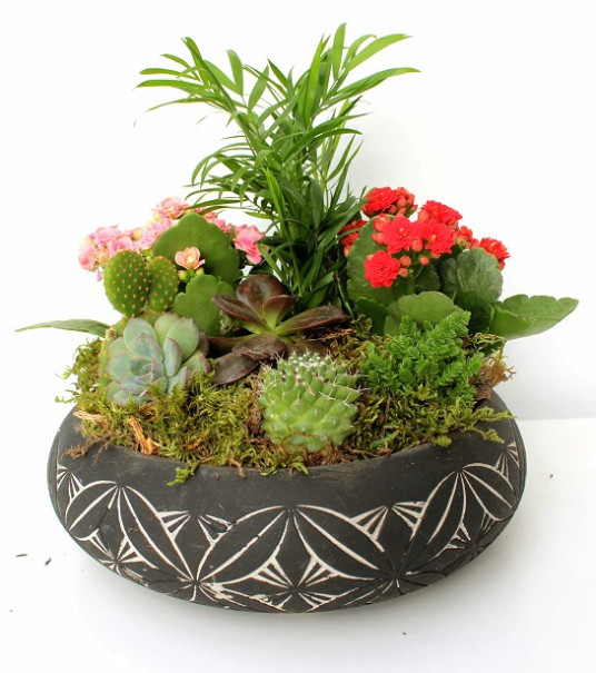 Dekoratif Desenli Saksıda Çiçek Bahçesi