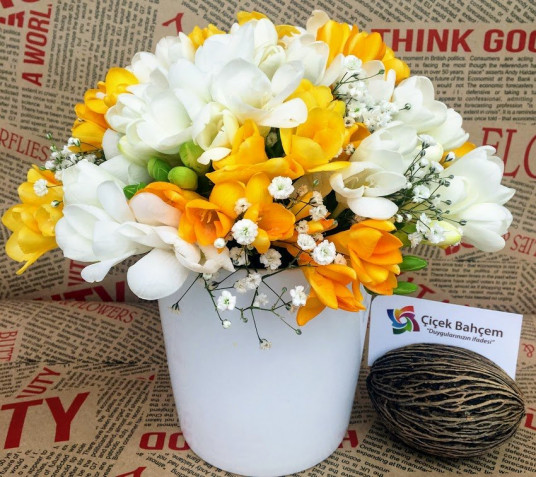 Yazın Müjdecisi Kokulu Firezya