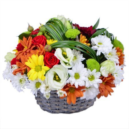 Tatlı Kış Süprizi