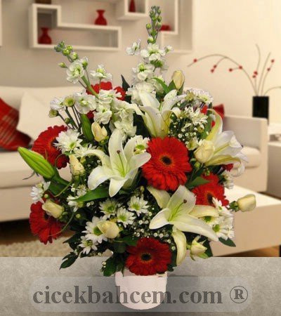Kırmızı Gerbera ve Beyaz Gül, Lilyum Aranjmanı 
