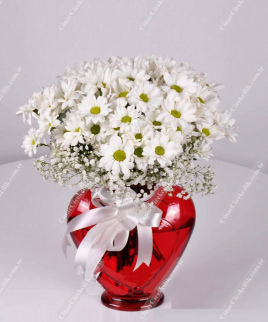 Beyaz Kır Çiçekleri, Çiçek Gönderme 