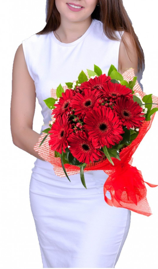 "Harikalar Diyarı" Kırmızı Gerbera, Buketi
